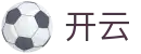 开云中文官网 - KAIYUN专业赛事平台